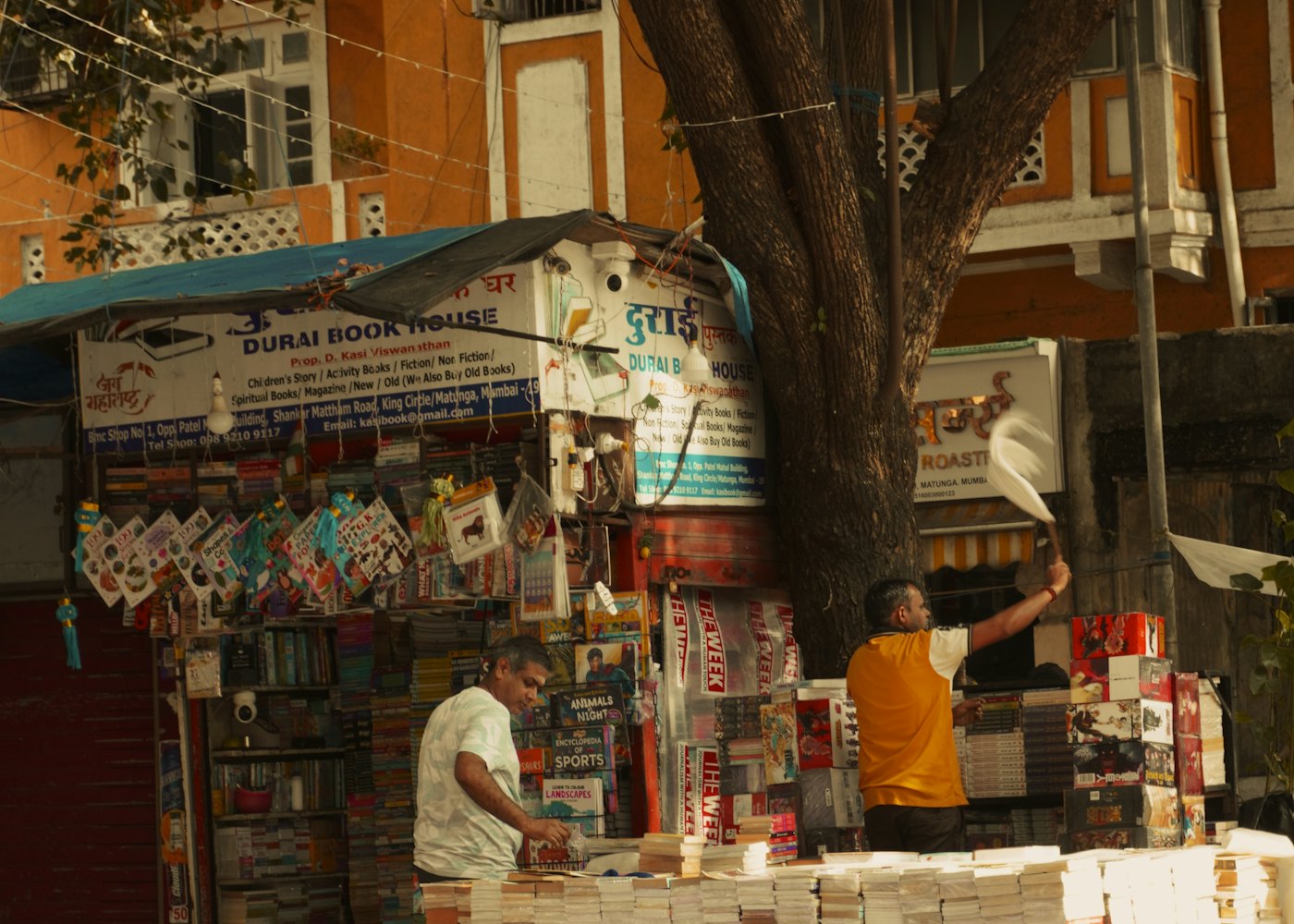 Sidewalk bookseller with stacks of books under a shady tree